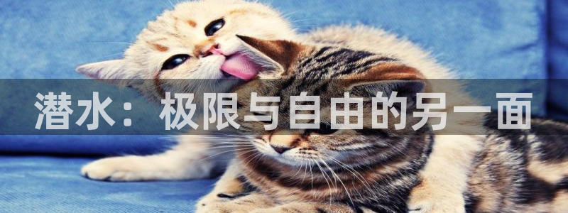 谈球吧