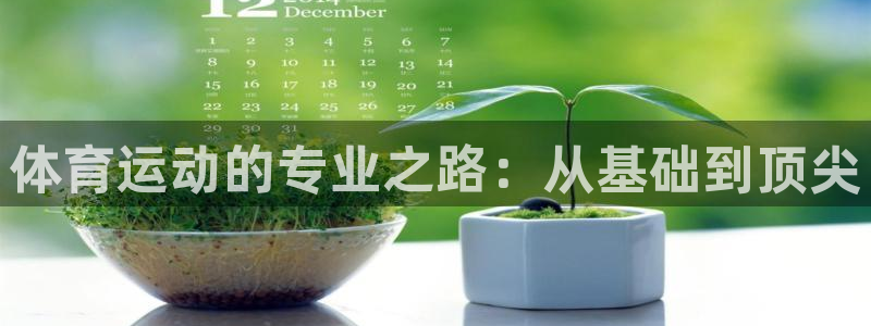 谈球吧体育官网