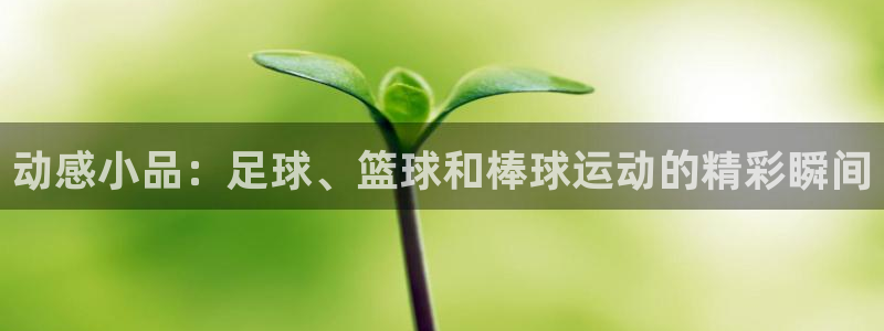 谈球吧体育官网