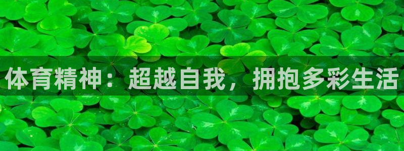 谈球吧体育：体育精神：超越自我，拥抱多彩生活