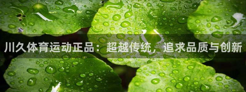 谈球吧
