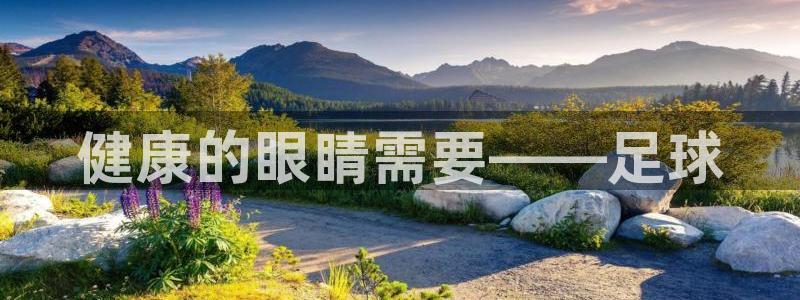 谈球吧体育官网