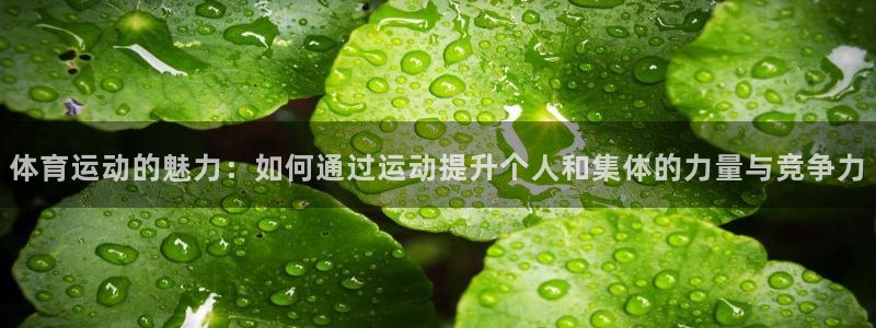 谈球吧体育官网：体育运动的魅力：如何通过运动提升个人和集体的力量与竞争力