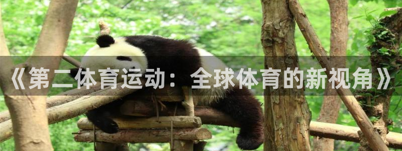 谈球吧
