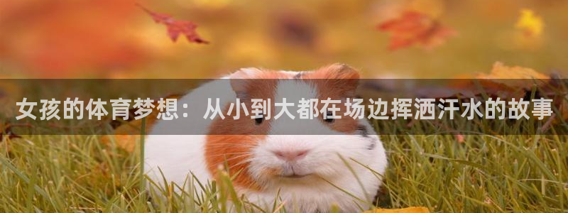 谈球吧体育官网