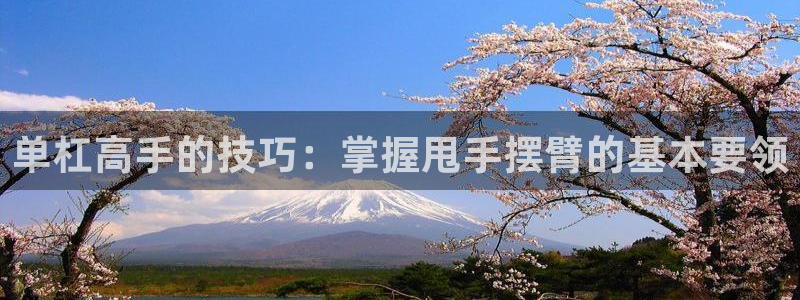 谈球吧：单杠高手的技巧：掌握甩手摆臂的基本要领